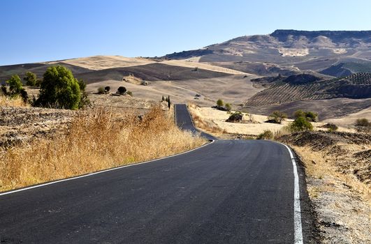 asphalt road in Andalucia