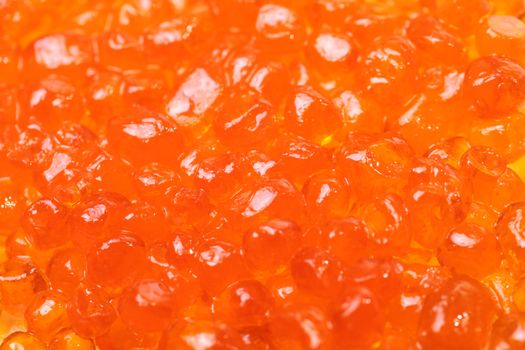 Close up of red expensive caviar