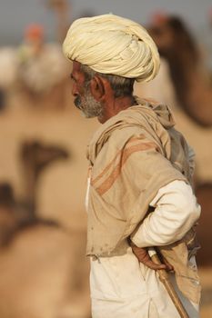 Camel Herder