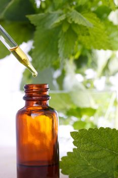 Herbal medicine with dropper bottle