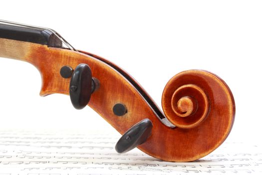 Violin Scroll 