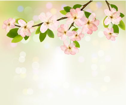 Spring background with blossoming tree brunch with spring flower