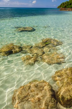 Sunlight reflecting on crystal clear water in San Andres y Providencia, Colombia