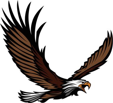 Eagle Flying with  Wings Spread