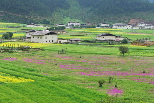 Landscape of tibetan village in rural area of Shangri-La county,Yunnan province, China