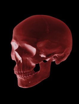 isolated red cranium