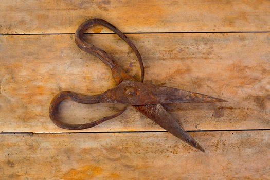 Antique sheep wool shears scissors rusted