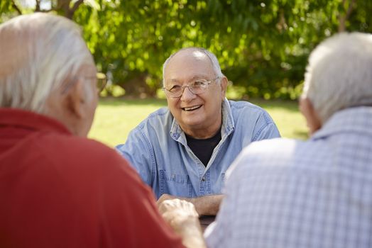Group of senior men having fun and laughing in park