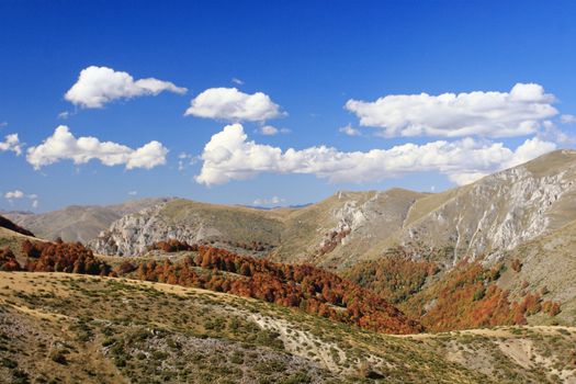 Landscape of Macedonia