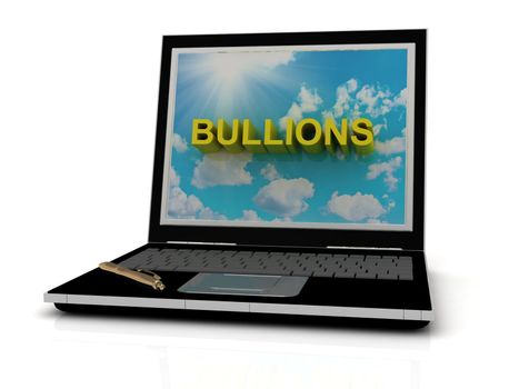 BULLIONS sign on laptop screen