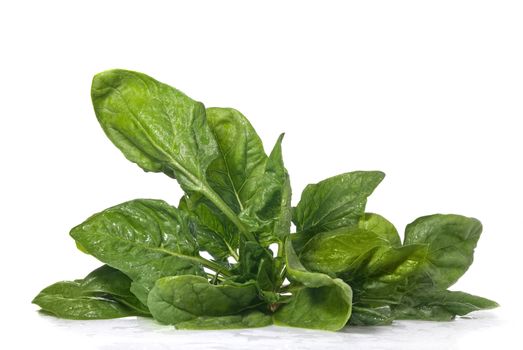 green spinach isolated on white