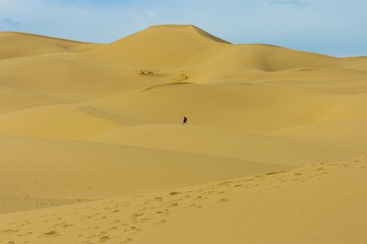 Sand dune Mongolia