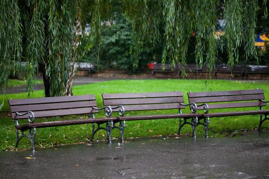 wet benches in the park on rain