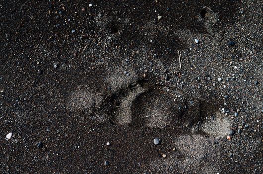 Footprint on black sand volcanic beach