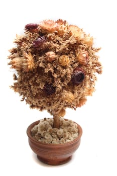 model of the tree from the dried flowers
