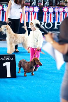 SAMARA,RUSSIA-AUGUST 26:Russian national dogs exhibition of all 