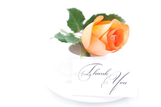beautiful orange rose , card with the words thank you and cup isolated on white