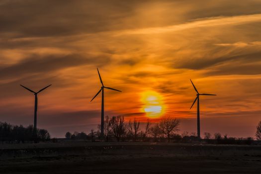Three windmills with sunset