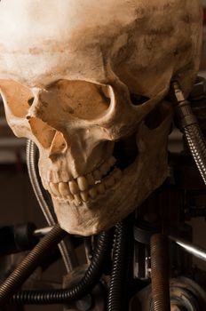 close up of a robot with human skull