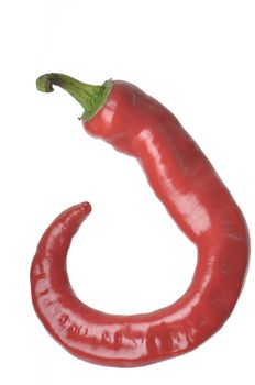 Isolated Cayenne Pepper