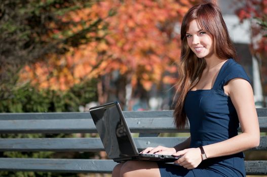 Young businesswoman using notebook