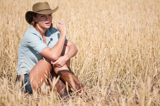 Cowboy woman in country wheat field