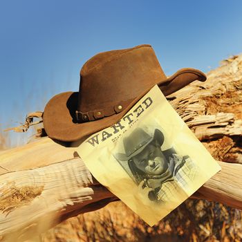 wanted far west