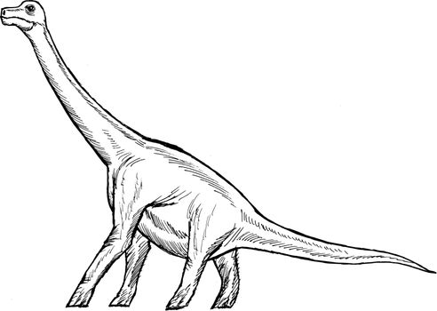 hand drawn, vector, sketch illustration of brachiosaurus