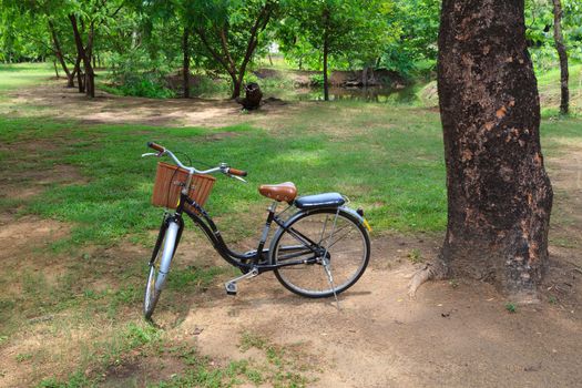 Bicycle in a park