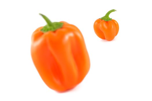 Orange Bell Peppers