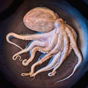 Small octopus on the pan