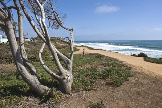 California shorelines and the environment.