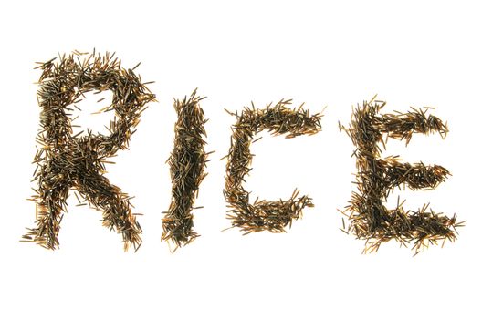 Wild Rice Spelling rice