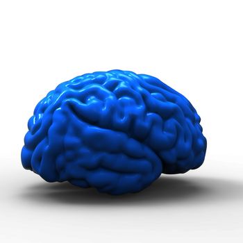 Human brain 3D model, isolated