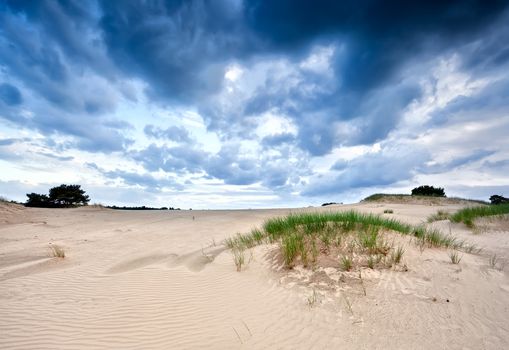 stormy clouds over sand dune