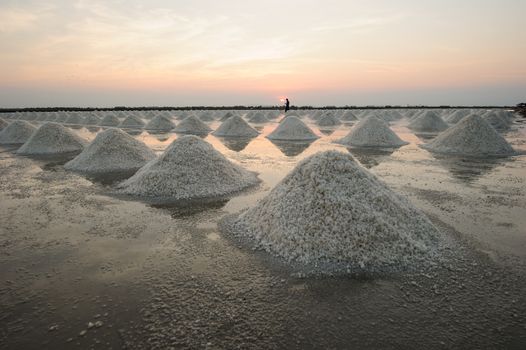 pile of salt in the salt pan at rural area of Thai coast.