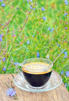 chicory hot drink
