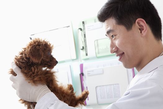 Veterinarian holding dog in office