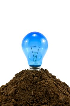 lightbulb in soil