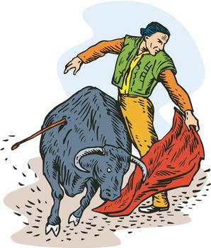Bullfighter Matador Bullfighting