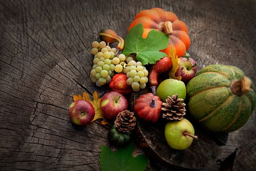 Autumn fruit
