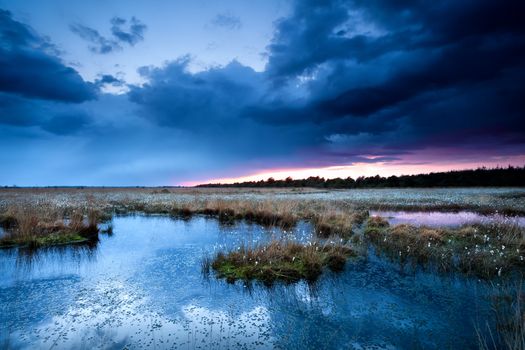 thunderstorm over swamps
