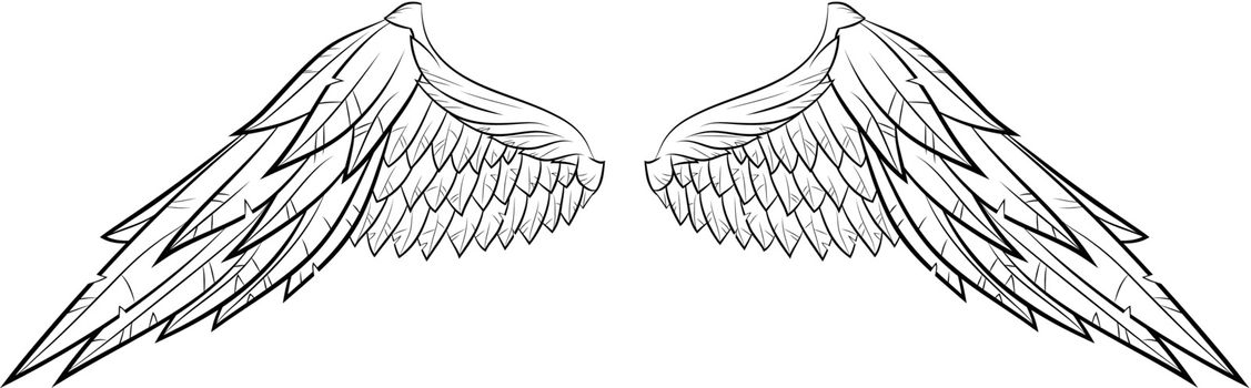 vector wings