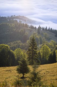 Carpathian mountain landscape in Romania
