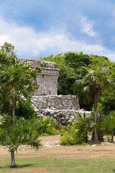 Oratory Temple of Mayan Ruins