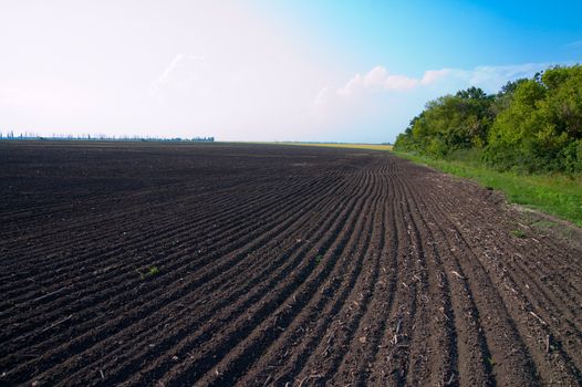 cultivated field after cultivation of land
