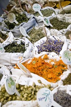 Detail of colorful pharmaceutical Herbs