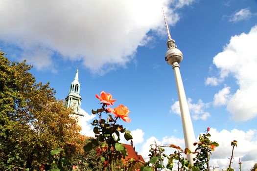 Marienkirche and TV Tower in Berlin