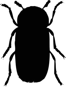 bug silhouette on white background, vector illustration