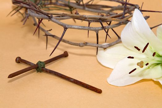Crown of Thorns, crucifix and Easter white Lily 